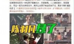 李易阳被爆料完整版视频,事件真相与背后故事